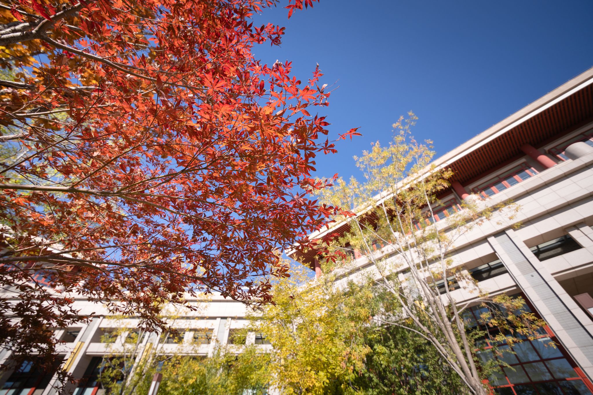 “铸牢中华民族共同体意识”高级研修班在中央民族大学开班