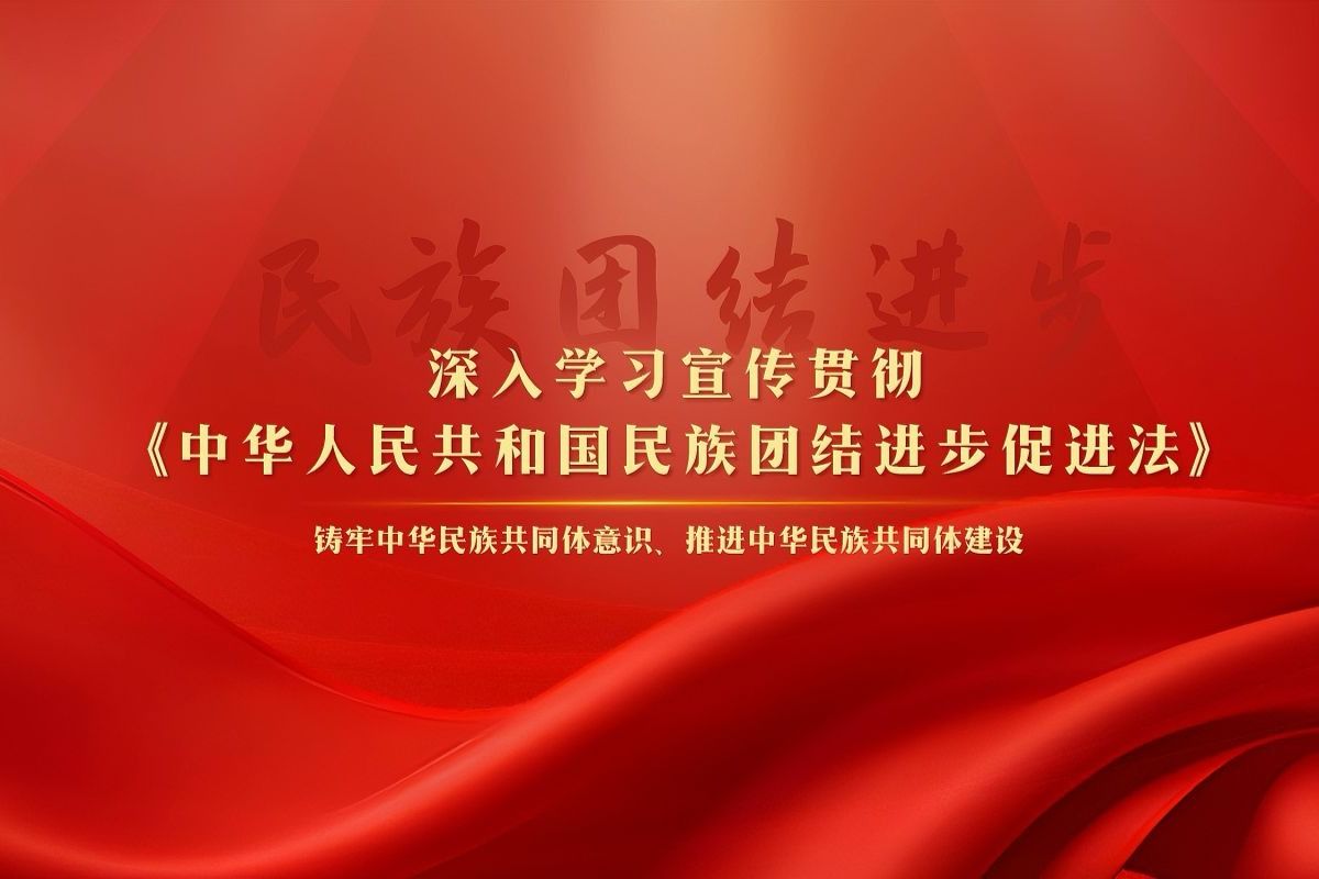 段威:价值倡导与制度约束并重 把民族团结进步促进法变成可执行的地方性法规