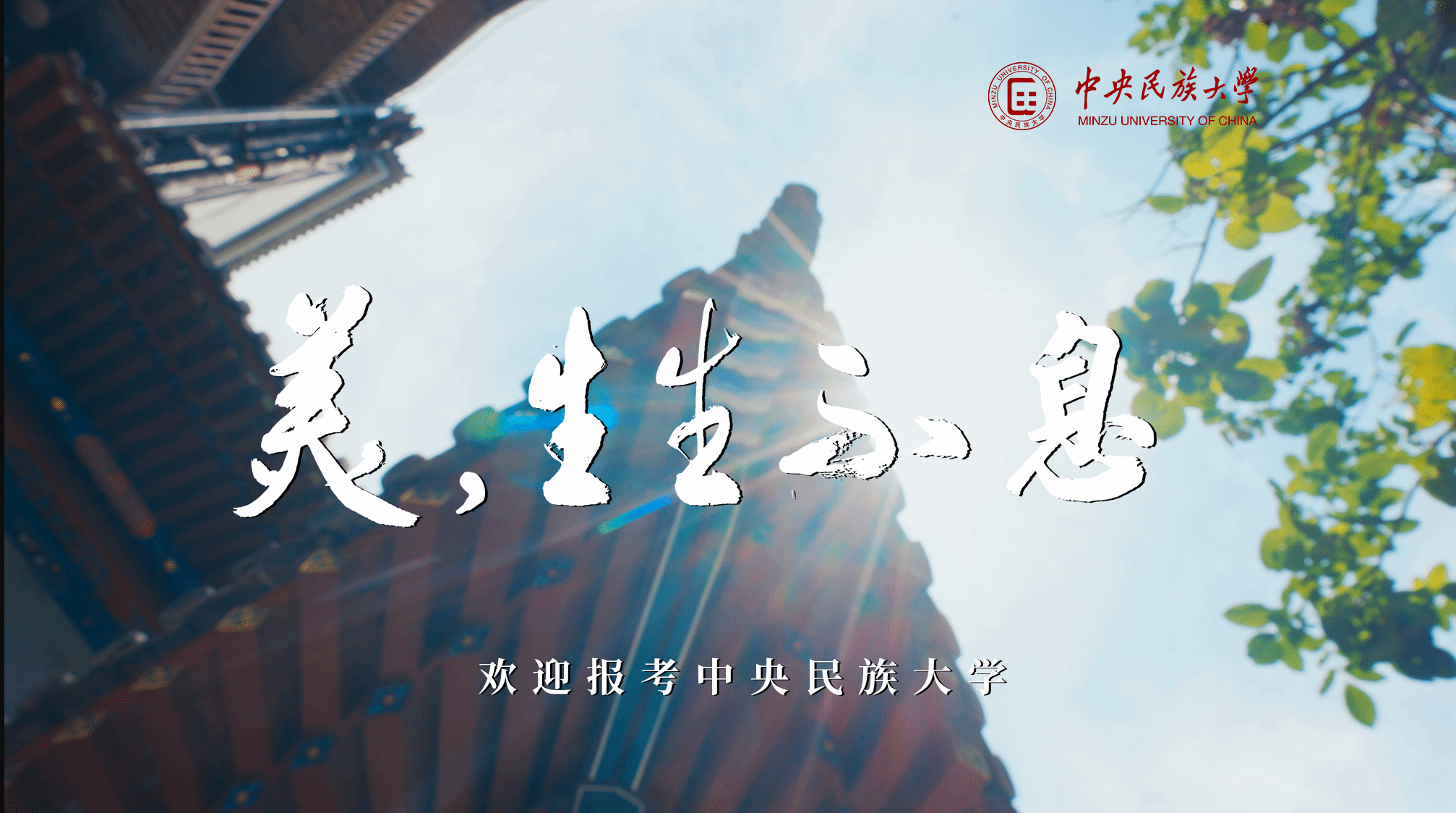 美，生生不息丨中央民族大学招生宣传片重磅发布！