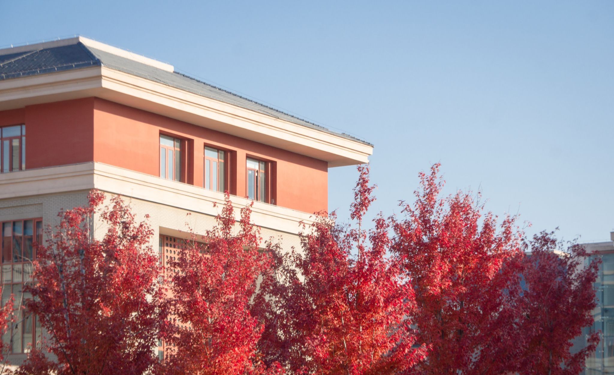 第十四届青年法史论坛暨“民族团结与国家统一的法律史研究”学术研讨会在中央民族大学召开