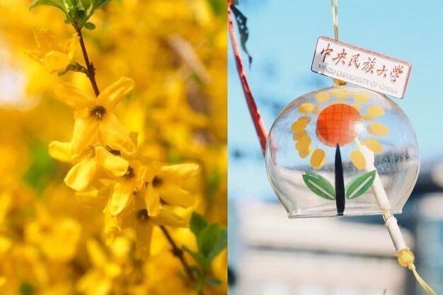 春天，来场色香俱全的校园Color Walk