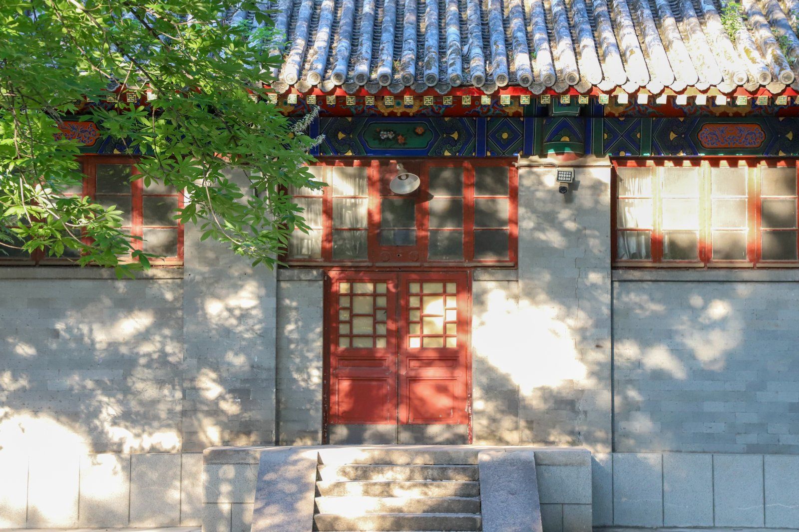 以“舞”为媒，舞蹈学院用心用情答好育人“服务卷”