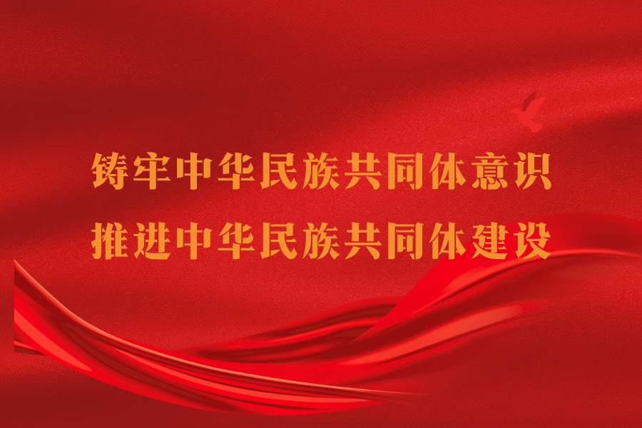 民族团结进步促进法的时代意义